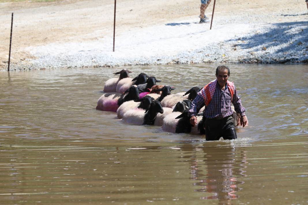 "Sudan Koyun Geçirme" yarışması 851 yıl sonra taşıma suyla yapıldı 17